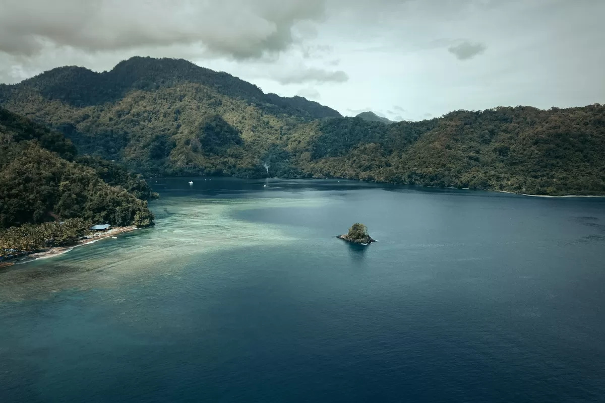 Alam Asmat Papua